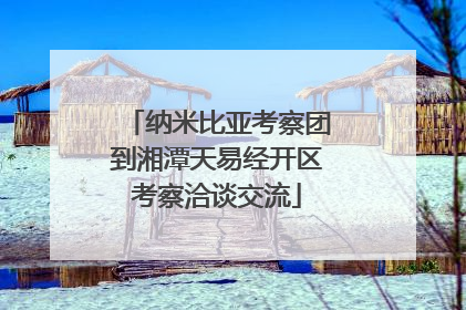 纳米比亚考察团到湘潭天易经开区考察洽谈交流